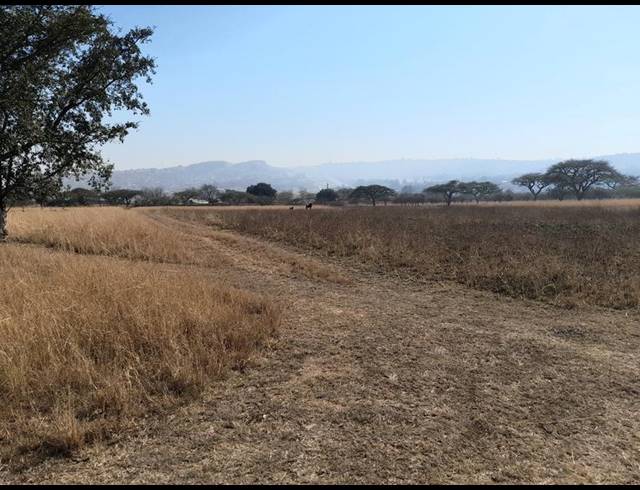 LAND FOR SALE IN BUNDU WILDLIFE ESTATE